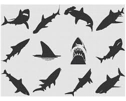 Black And White Shark Teeth Clipart Pin On Cricket