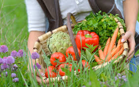 After giving thought to the vegetables you want to grow, you're ready to decide which varieties to grow. How To Start A Vegetable Garden