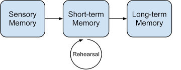 Later, richard atkinson and richard shiffrin added a third level to this theory: Cognitive View Information Processing Theory Part 1 Oneonta Epsy 275 Openstax Cnx