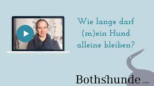 Aber das wirst du merken, wenn du nach hause. Wie Lange Darf Ein Hund Alleine Bleiben Bothshunde