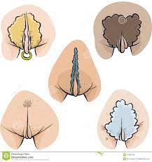Cartoon Vaginas stock illustration. Illustration of attractive - 41987048