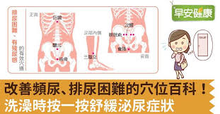 改善頻尿、排尿困難的穴位百科！洗澡時按一按舒緩泌尿症狀|早安健康