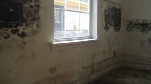 You can clean either one the same way. Mold Cdc