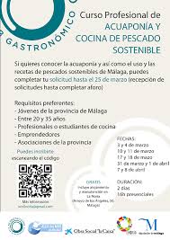 Estudia y aprende con nosotros para conseguir tu título oficial. Curso Profesional De Cocina De Pescado Sostenible Y Acuaponia La Noria Diputacion De Malaga