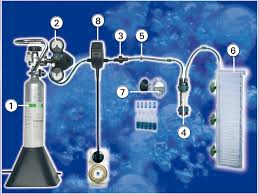 Overview Of Co2 Systems Modular Set Up Dennerle