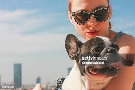 74 Dog That Most Looks Like Owner Stock Photos, High-Res Pictures, and  Images