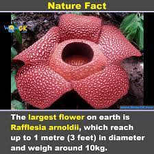Pin On Nature Facts