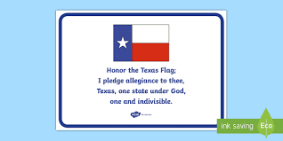 What would it like to be president of the united states? Texas State Pledge Poster