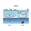 The complaint alleges that ripple raised funds, beginning. 1