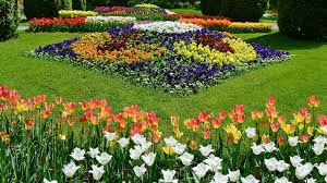 +40 264 592 152 ubbcluj.ro. Gradina Botanica Cluj Blogul Travelminit Ro