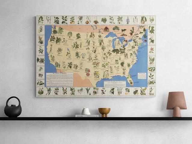 Buy 1932 Medicinal Plant Map: Vintage Naturopath Art Poster Online in India - Etsy