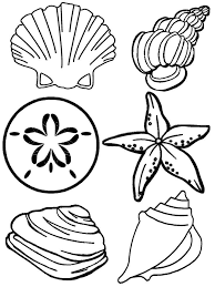 Free printable seashell coloring pages for kids. Beach Shells Coloring Pages Coloring Home