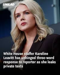 Karoline Leavitt's Response to Reporter and Leaked Private Texts