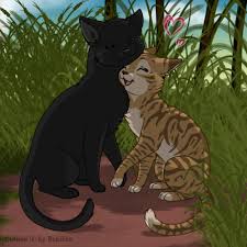 Feuille de Lune et Plume de Jais (Leafpool and Crowfeather) | La guerre des  clans, Illustration de chat, Lgdc