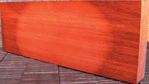 Image result for Tessmannia anomala