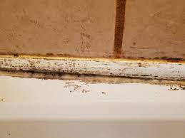 Check spelling or type a new query. How To Keep Shower Caulk Clean Home Improvement Stack Exchange