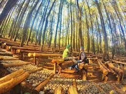Jika anda ingin mendapatkan petunjuk no telp dan kontak makam raja imogiri kab bantul. 48 Tempat Wisata Di Bantul Terbaru Yang Lagi Hits 2019 Explore Bantul
