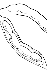 Free mr bean coloring page to print and color. Beans Coloring Page Print For Free