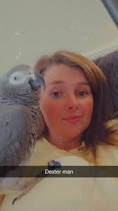 Is parrot establishing dominance or making progress?