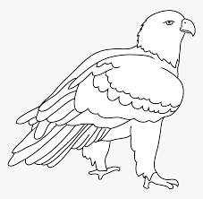 This image has been enhanced and cropped to make it more useful for your graphics projects. Transparent Eagle Head Clipart Black And White Bald Eagle Hd Png Download Transparent Png Image Pngitem