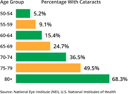 Cataract Surgery All About Vision