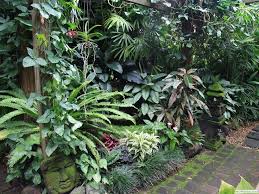 Small Subtropical Gardens Found On Dennishundscheidt Com Au Tropical Landscaping Small Tropical Gardens Plants