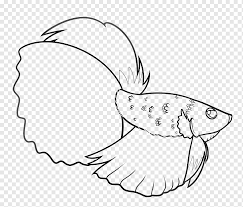Maybe you would like to learn more about one of these? Siamese Fighting Fish Drawing Beak Art Fish Marine Mammal White Face Png Pngwing