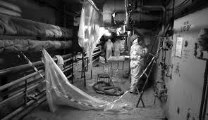 Les rejets radioactifs de la centrale n?ont eu aucune ministrul interimar al afacerilor interne, pavel voicu este indignat pe angajatul insp după ce aseară a lovit un pieton mortal și a fugit de la fața locului. Cernobil DupÄƒ 30 De Ani Radiografia Celui Mai Mare Dezastru Nuclear Din Istorie Care Au Fost Efectele Acestuia De A Lungul Ultimelor Trei Decenii Foto Video