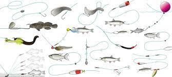 This is a great big live bait rig that's easy for beginners to tie. 15 Bait Rigs That Will Catch Any Fish Anywhere