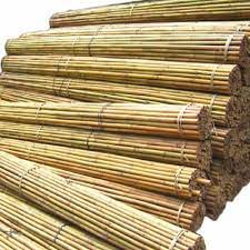 All stake supply provides quality bamboo stakes at different sizes. 6 Ft Bamboo Plant Support Garden Canes Bamboo Sticks Poles Pack Of 10 Ebay