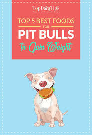 top 5 best dog food for pitbulls to gain weight and lean