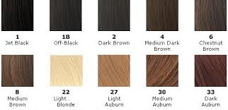Clip In Hair Extensions Color Chart Best Picture Of Chart