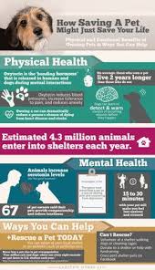 As part of the cares act, the paycheck protection program (ppp) is designed to help small paychex continues to review implementation guidance related to the ffcra from federal note: 50 Best Animals Information Ideas Pet Hacks Pets Dog Care