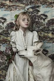 Photos Shelly Mosman Www Shellymosman Com Photography Animal Photography Character Inspiration