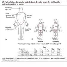 7 Best Boards Charts Images Board Exam Medical Nurse