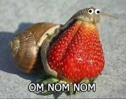 Om Nom Nom 9gag