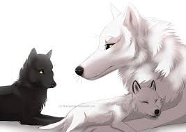 14 Anime Wolf White Spirit Animal Anime Wolf Anime Wolf Drawing Wolf Spirit Animal