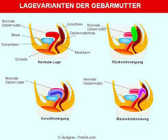 Kann Mir Bitte Jemand Mit Dem Divacup Helfen Frauen Periode Menstruation