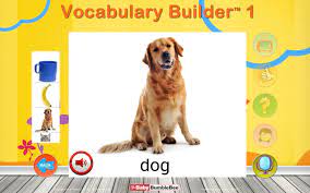 Vocabulary Builder 1 Flashcard For Android Apk Download