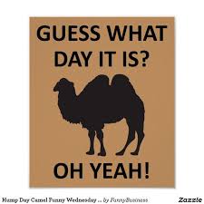 Wish you a nice day! Happy Hump Day Memes Images Humor And Funny Pics Socially Keeda