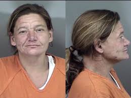 Citrus County Mugshots Dec. 18, 2020