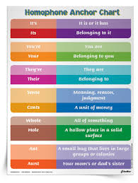 awesome anchor chart to teach homophones grades 2 12