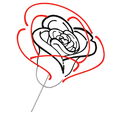 How to draw a rose a step by step guide thought catalog. How To Draw A Rose Art Rocket
