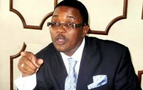 Walter Mzembi says Mnangagwa will slaughter him like sheep if he returns to  Zim
