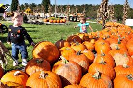 Mother of teen who allegedly planned attack