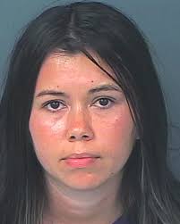 HCSO Arrests Public Records Results