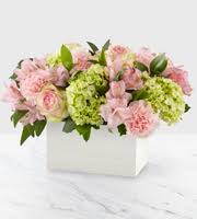 1150, 2614 wade hampton blvd, гринвилл, sc 29615, usa адрес. Same Day Flower Delivery In Greenville Sc 29615 By Your Ftd Florist Greenville Flowers Fruits Plants 864 244 4557