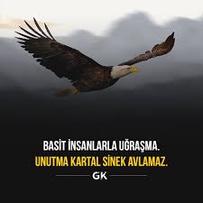 Sizin Hayalleriniz Hedefleriniz Ile Dalga Gecen Size Inanmayan Insanlar Ile Ugrasip Kisitli Olan Vaktinizi Bosa Harcamayi 2020 Dalga Motivasyon Ilham Verici Sozler