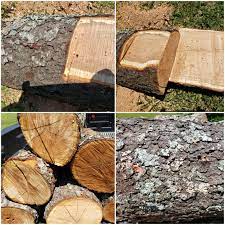 Just a few of the topics covered include identifying different types of cuts, estimating board feet, and finding a good hardwood supplier. Identifying Logs Neighbor Had These To Dump Figured They D Make Good Firewood Unless It S Worth Using To Make Something But I Don T Know What Kind Of Wood It Is Marijuanaenthusiasts