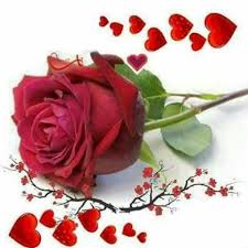 Red Rose And Hearts Flower Images Red Roses Wallpaper Red Rose Flower